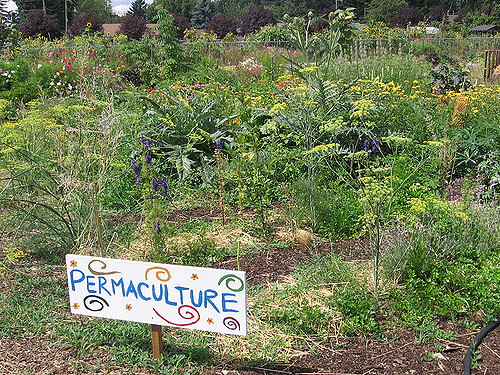 permaculture